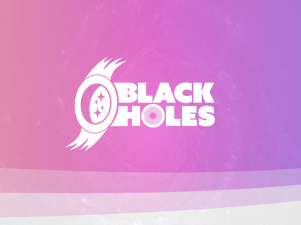 Black Holes