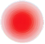 Root chakra – Muladhara