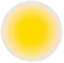 Solar plexus chakra – Manipura